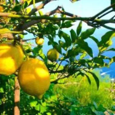 Вилла Paradise Amalfi House 0*,  Италия