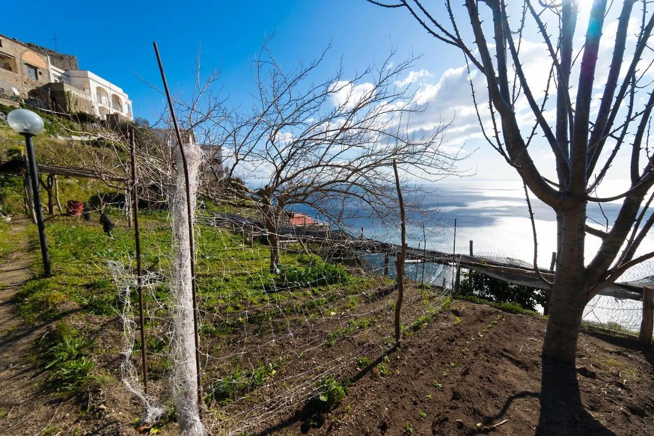 Вилла Paradise Amalfi House Италия